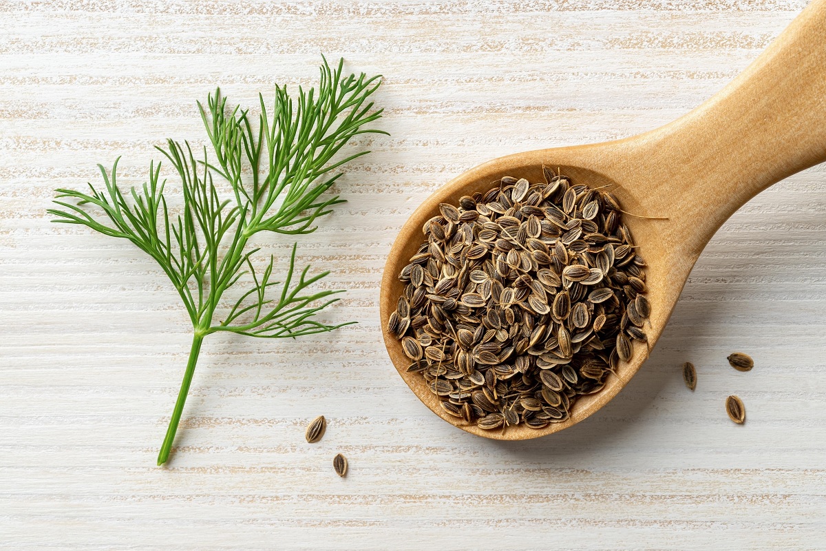 Dill Seeds