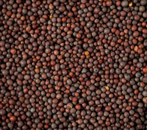 Mustard Seeds