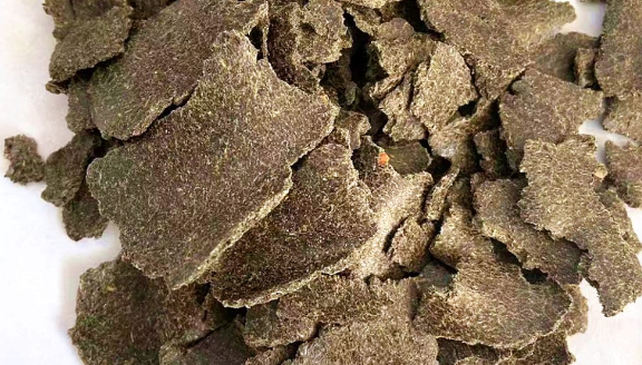 Rapeseed Meal Canola DOC Manufacturer Exporter Mahuva Gujarat India